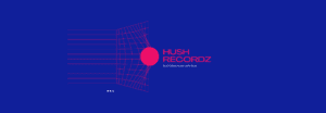 Read more about the article The annual subscription plan of Hush Recordz