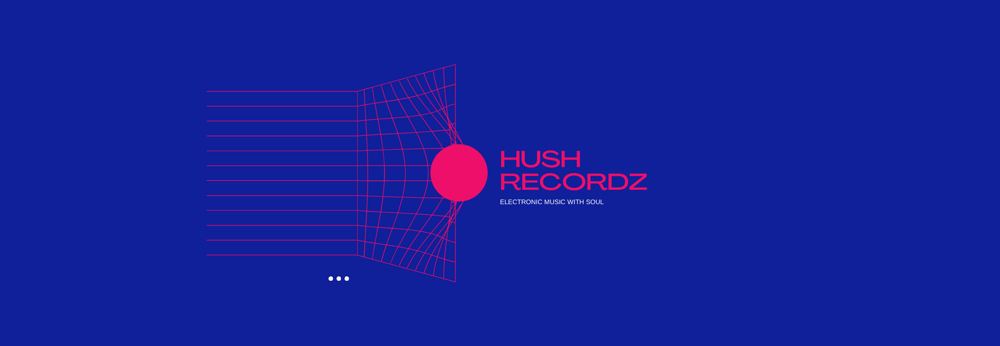 Read more about the article The annual subscription plan of Hush Recordz
